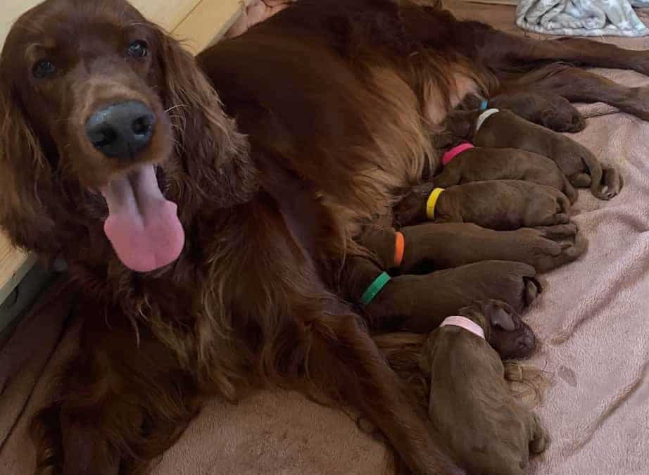 Unser Bronze-Wurf ist geboren!!