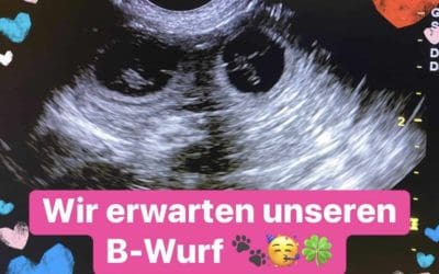 Hurra!!!