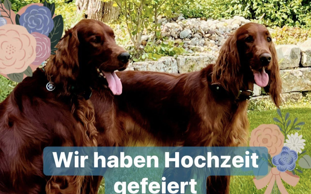 Wir haben Hochzeit gefeiert